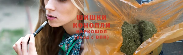 apvp Осташков