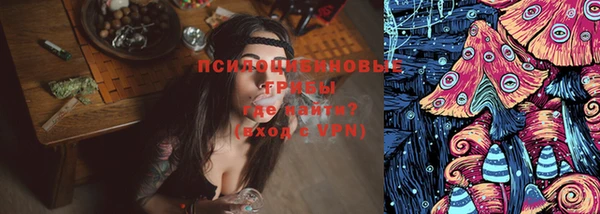 гашик Остров