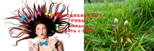 apvp Осташков