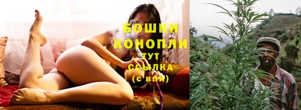 СК Осинники