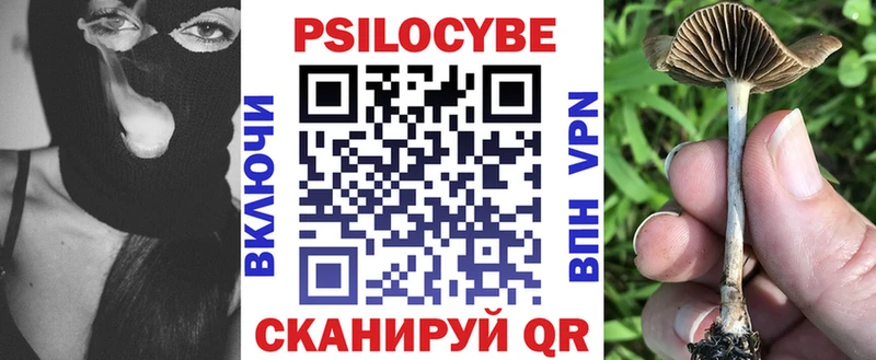 Псилоцибиновые грибы Psilocybe  Сердобск 